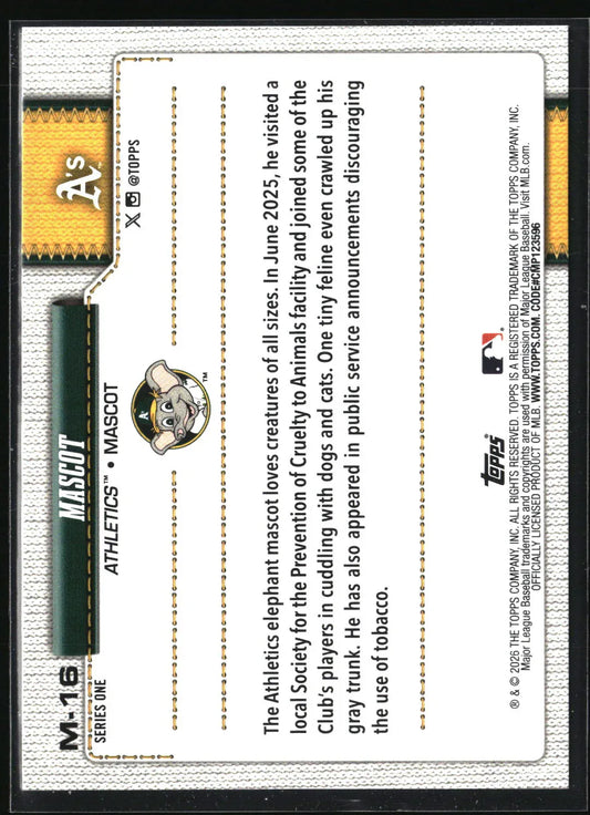 53877214-back - Big Boy Collectiblez