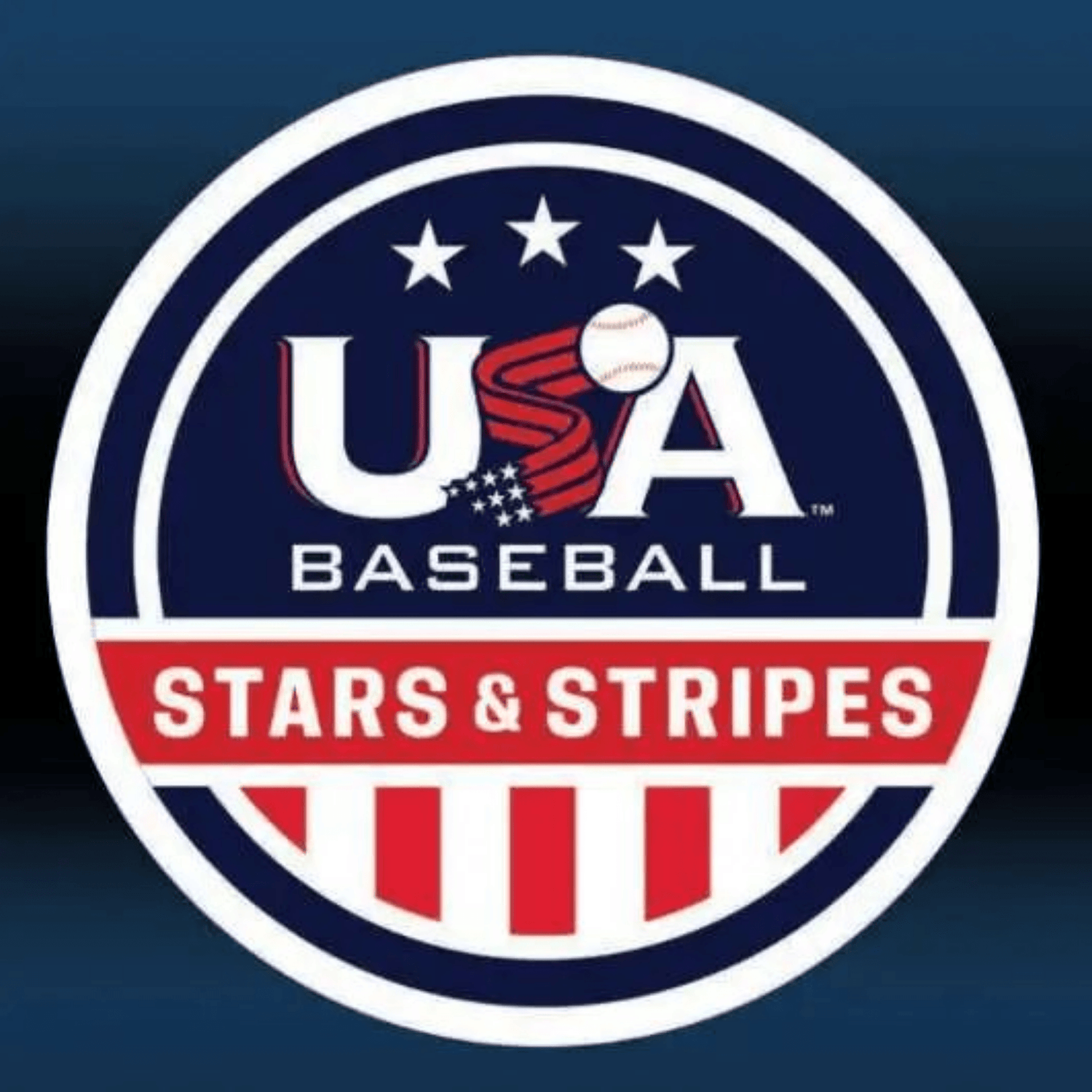 Panini Stars & Stripes Logo