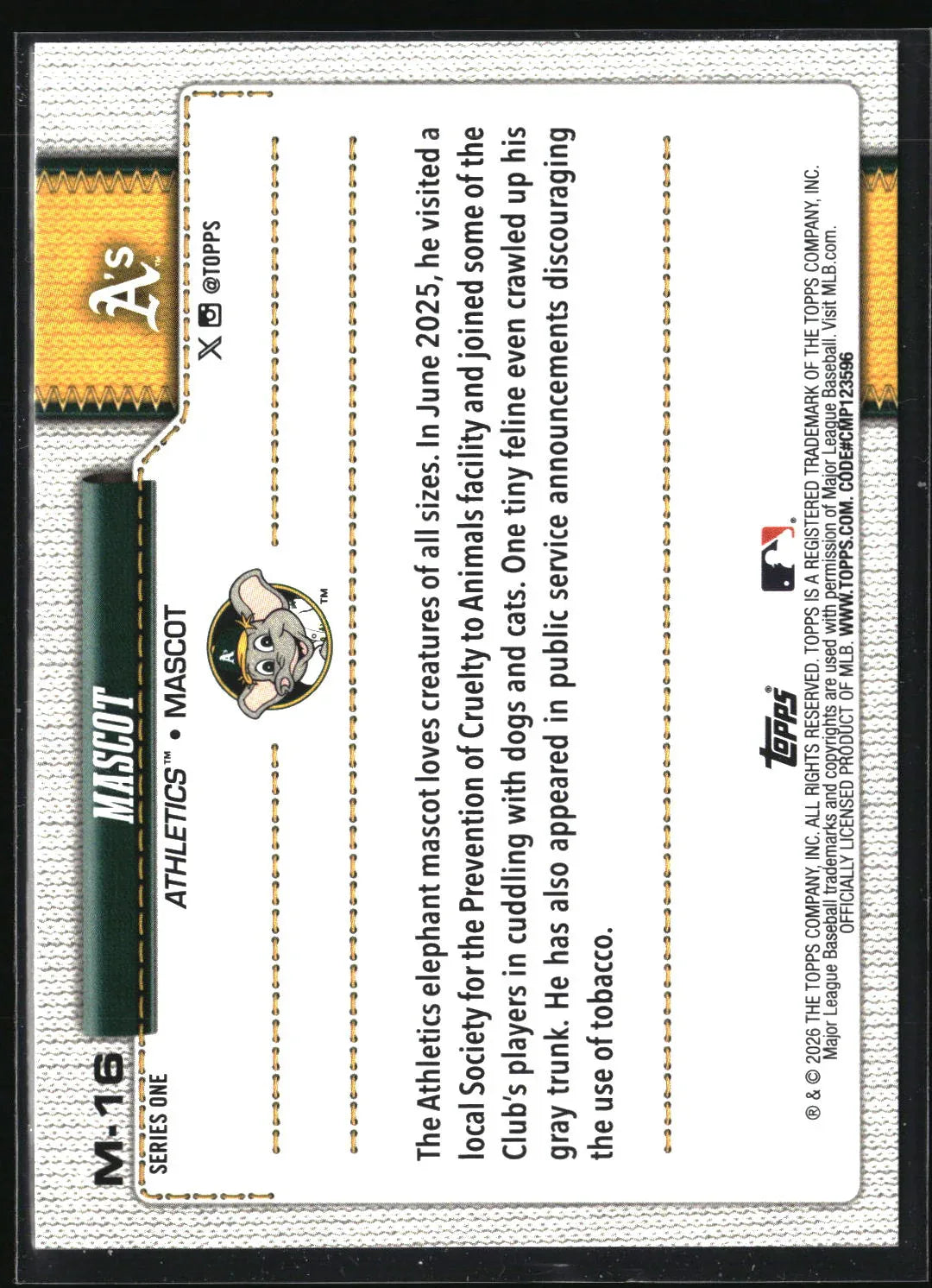 53877214-back - Big Boy Collectiblez