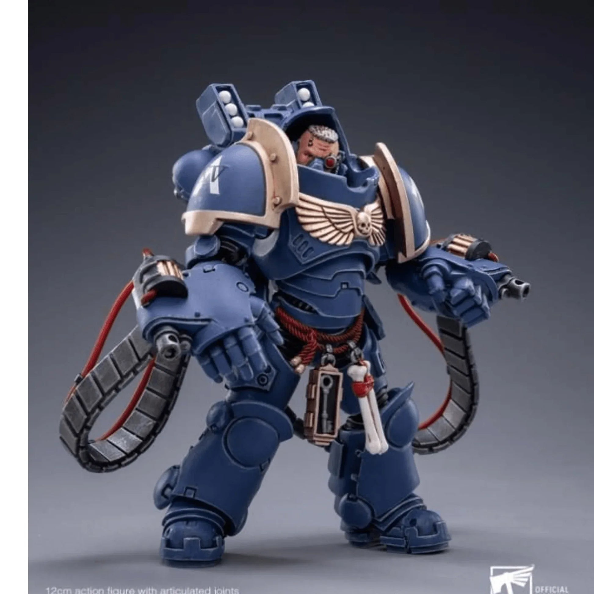 Warhammer40K118ScaleUltramarinesAggressors-Art1 - Big Boy Collectiblez