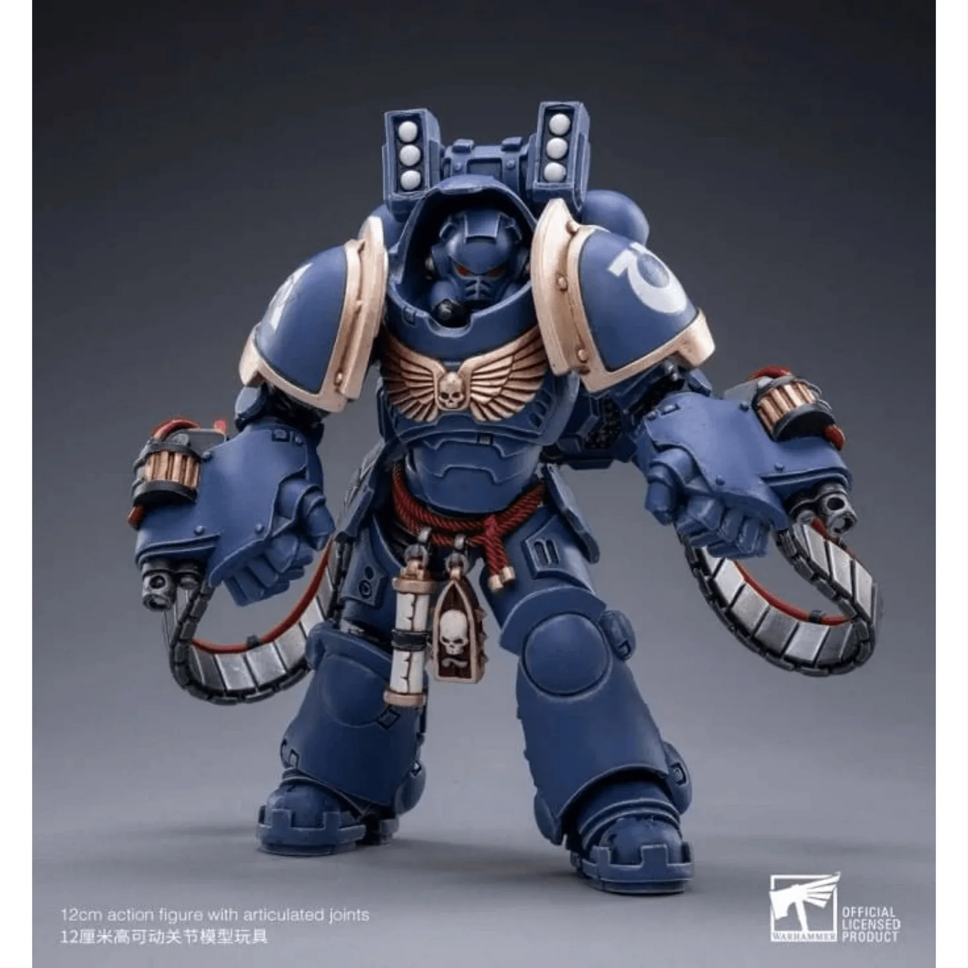 Warhammer40K118ScaleUltramarinesAggressors-Art10 - Big Boy Collectiblez