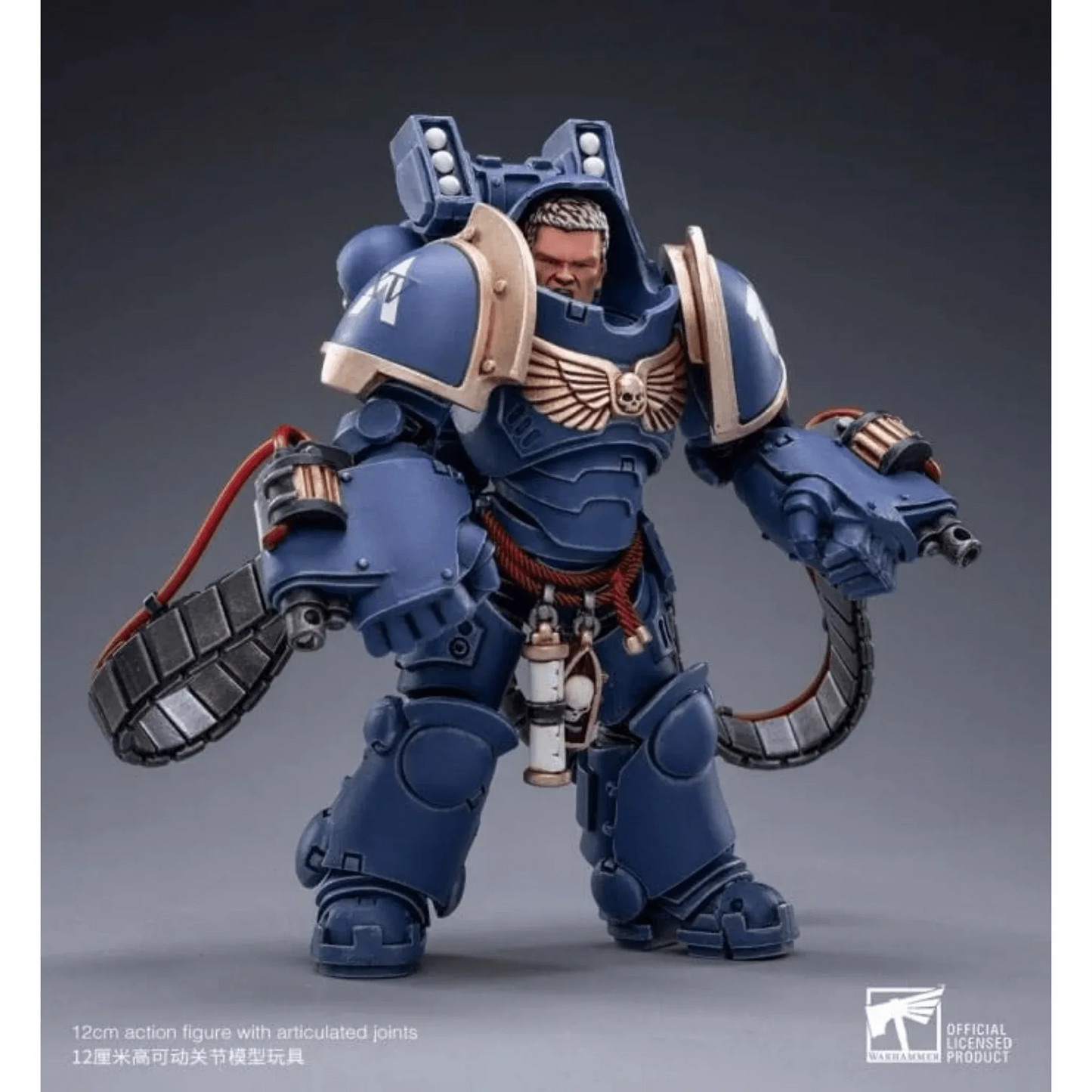 Warhammer40K118ScaleUltramarinesAggressors-Art11 - Big Boy Collectiblez