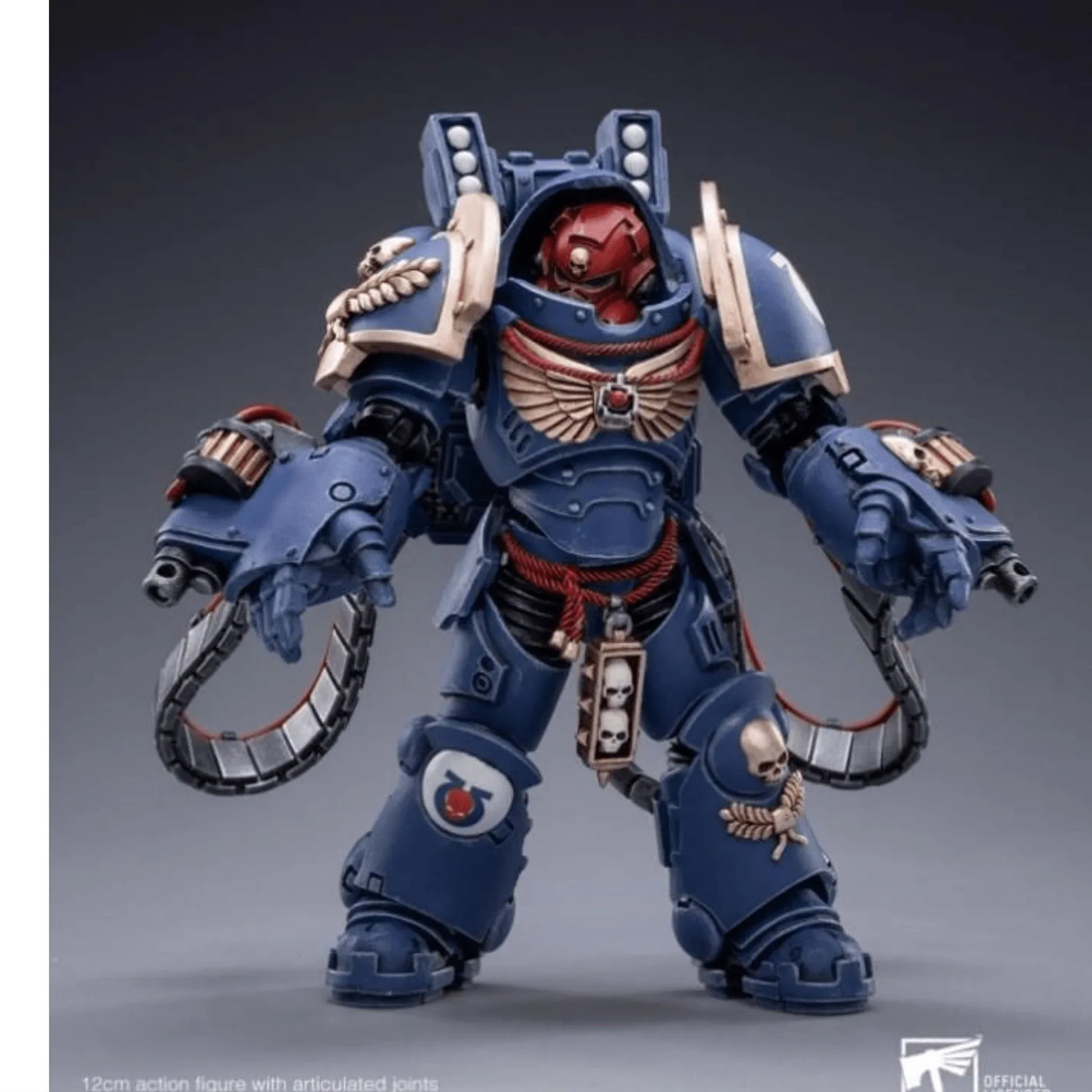 Warhammer40K118ScaleUltramarinesAggressors-Art4 - Big Boy Collectiblez
